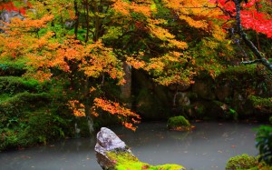 明寿院江戸中期の庭園1280×800