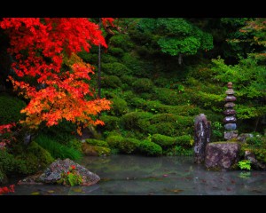 明寿院庭園江戸初期の池と紅葉1280×1024
