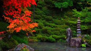 明寿院庭園江戸初期の池と紅葉1920×1080