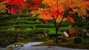 永源寺庭園の紅葉1366×768
