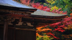 西明寺の本堂と紅葉1600×900