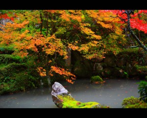 明寿院江戸中期の庭園1280×1024