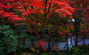 西明寺蓬莱庭の紅葉1920×1200