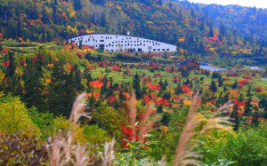 天望立山荘と弥陀ヶ原の紅葉1280×800