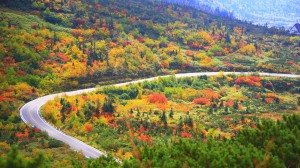 立山の紅葉の錦絵1366×768