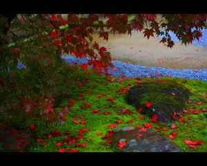 庭園の苔と紅葉1280×1024