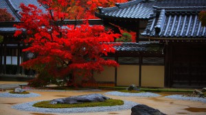 永源寺の庭園と禅堂1920×1080
