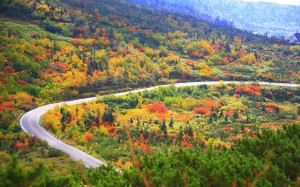 立山の紅葉の錦絵1440×900