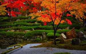 永源寺庭園の紅葉1680×1050