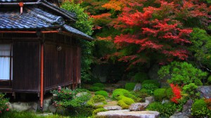 湖東三山百済寺の紅葉1600×900