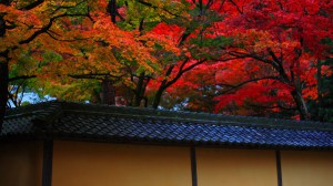 西明寺の土塀と蓬莱庭入口の紅葉1600×900