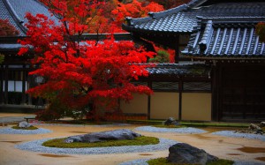 永源寺の庭園と禅堂1680×1050