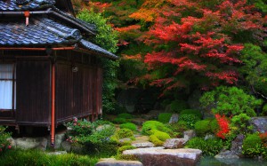 湖東三山百済寺の紅葉1680×1050