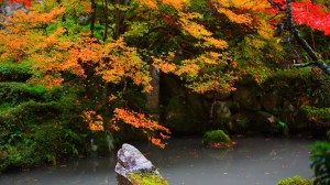 明寿院江戸中期の庭園1366×768