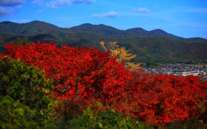 月香亭付近からの素晴らしい眺望1440×900