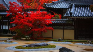 永源寺の庭園と禅堂1366×768