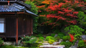 湖東三山百済寺の紅葉1366×768