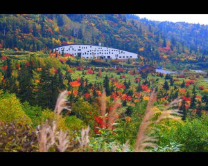 天望立山荘と弥陀ヶ原の紅葉1280×1024
