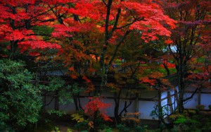 西明寺蓬莱庭の紅葉1680×1050