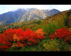 大日岳と鮮烈な紅葉1280×1024