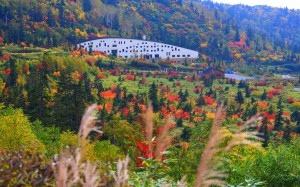 天望立山荘と弥陀ヶ原の紅葉1680×1050