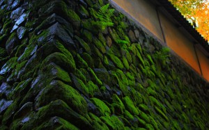湖東三山西明寺の石垣1440×900