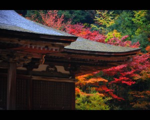 西明寺の本堂と紅葉1280×1024