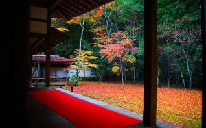 高桐院本堂前庭の散り紅葉1920×1200