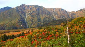 大日岳と弥陀ヶ原の紅葉1600×900
