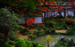 紅葉時期の西明寺蓬莱庭1440×900