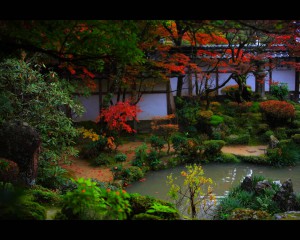 紅葉時期の西明寺蓬莱庭1280×1024