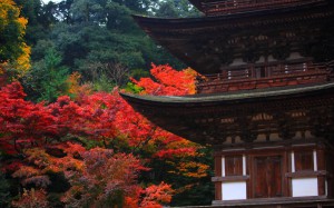 西明寺三重塔と紅葉1440×900