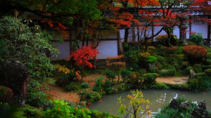 紅葉時期の西明寺蓬莱庭1600×900