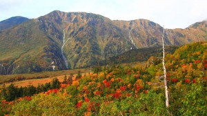 大日岳と弥陀ヶ原の紅葉1366×768