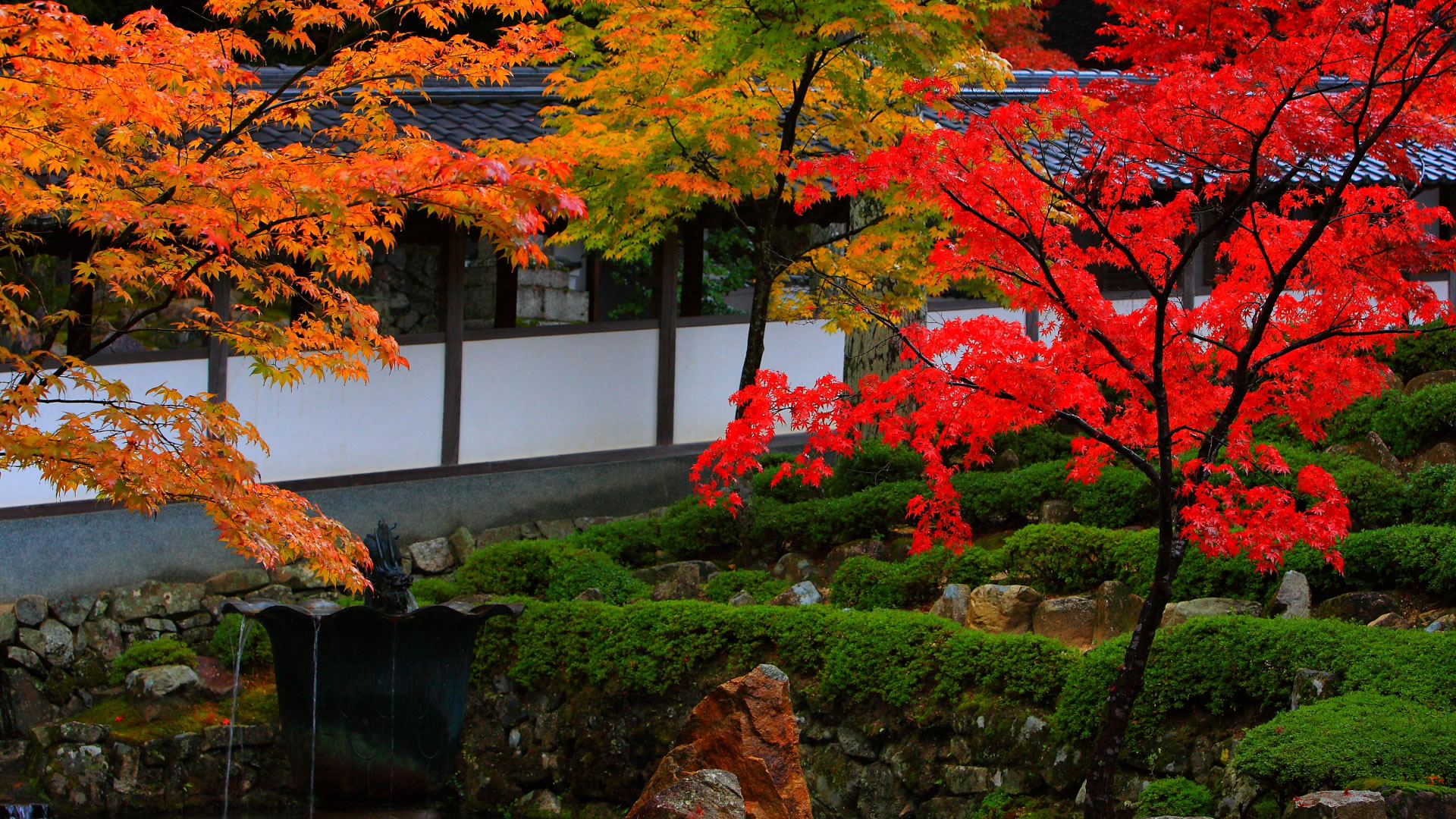 美しい庭園と廊下脇の紅葉19 1080 日本の風景大型サイズ無料壁紙