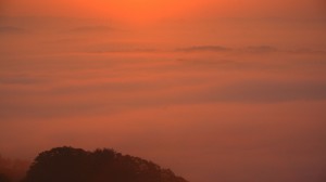 オレンジ色の佐用の朝霧1920×1080