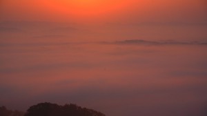 大撫山展望テラスから見た佐用の朝霧1920×1080