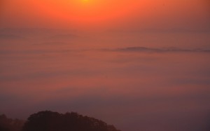 大撫山展望テラスから見た佐用の朝霧1920×1200