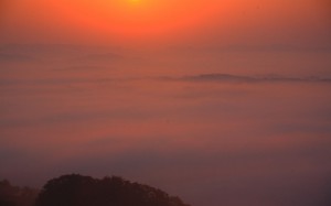 大撫山展望テラスから見た佐用の朝霧1440×900