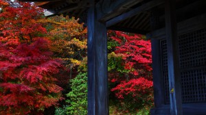 石道寺の観音堂と紅葉1366×768