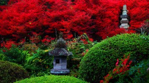 永昌寺庭園の燈籠とドウダンツツジ1366×768