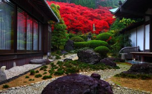 低い位置から見た永昌寺庭園1440×900