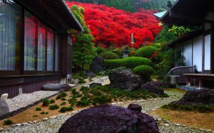 低い位置から見た永昌寺庭園1680×1050