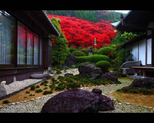低い位置から見た永昌寺庭園1280×1024