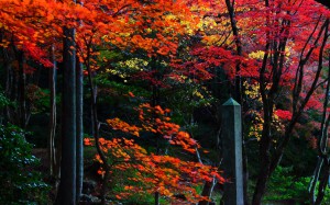 鶏足寺入口参道脇の石塔と紅葉1440×900