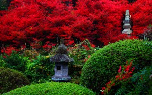 永昌寺庭園の燈籠とドウダンツツジ1440×900