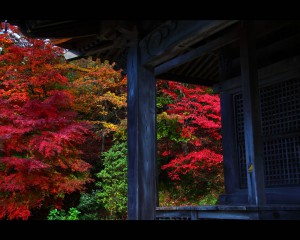 石道寺の観音堂と紅葉1280×1024