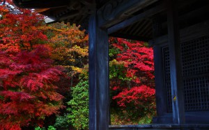 石道寺の観音堂と紅葉1280×800