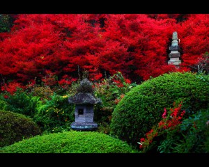 永昌寺庭園の燈籠とドウダンツツジ1280×1024