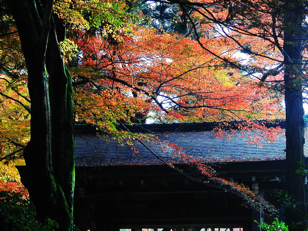Sanmon of a Zuiho-ji park